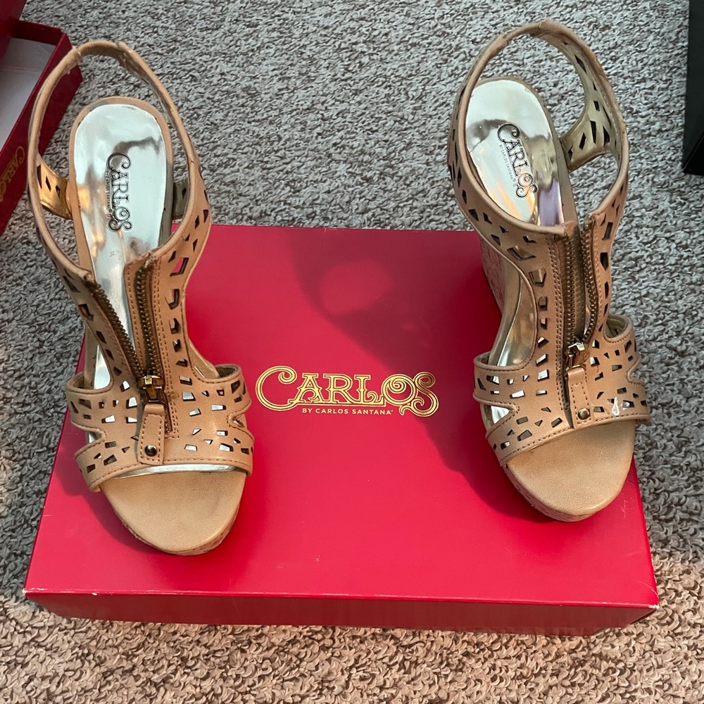 Carlos Santana Wedges